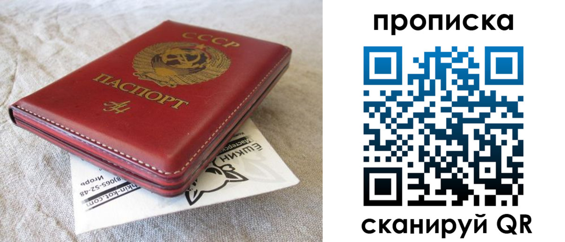 прописка для школы в Алтайском крае